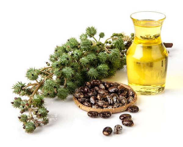 12 Castor Oil Beauty Benefits for Skin and Hair